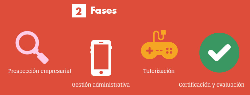  Fases: prosprección empresarial, gestión administrativa, tutorización, certificación y evaluación.